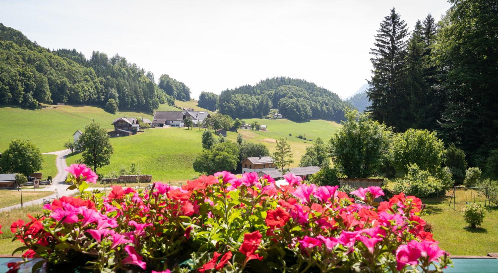 Appartement Scheibling Saint Wolfgang Exteriér fotografie